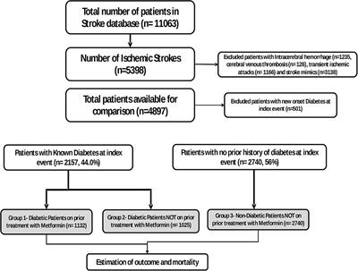 Diabetes: Chronic Metformin Treatment and Outcome Following Acute Stroke